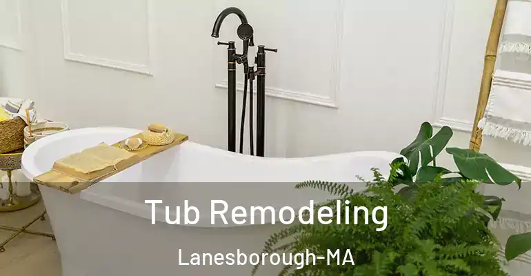 inner Bathroom imggen Tub Remodeling Lanesborough-MA