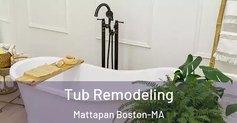 inner Bathroom imggen Tub Remodeling Mattapan Boston-MA