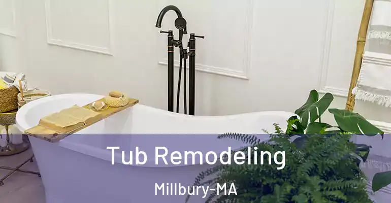inner Bathroom imggen Tub Remodeling Millbury-MA