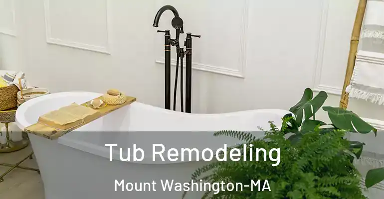inner Bathroom imggen Tub Remodeling Mount Washington-MA