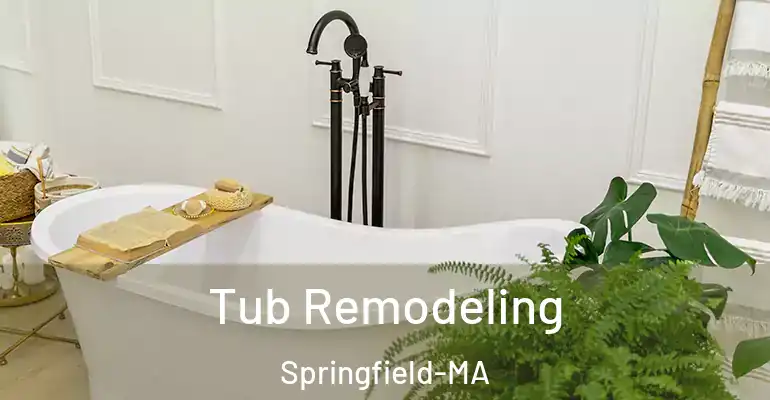 inner Bathroom imggen Tub Remodeling Springfield-MA
