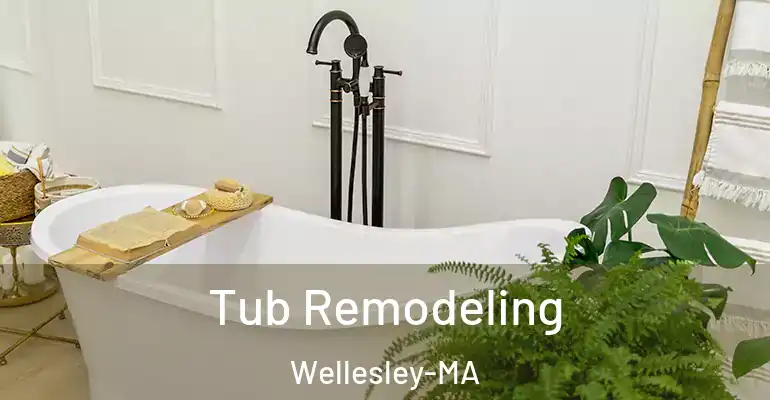 inner Bathroom imggen Tub Remodeling Wellesley-MA