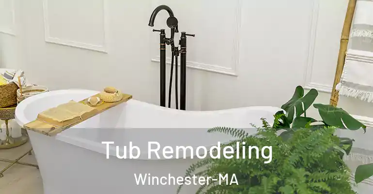 inner Bathroom imggen Tub Remodeling Winchester-MA
