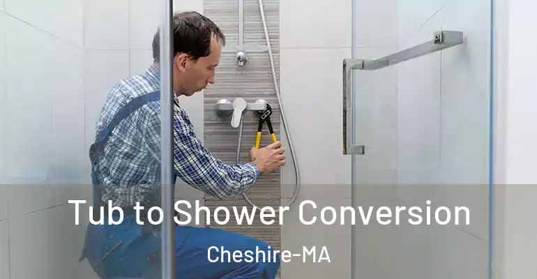 inner Bathroom imggen Tub to Shower Conversion Cheshire-MA