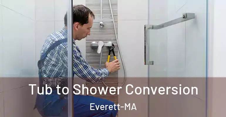 inner Bathroom imggen Tub to Shower Conversion Everett-MA