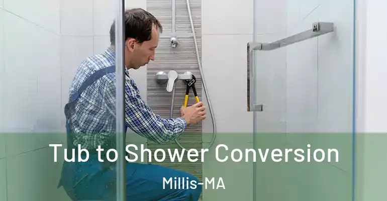 inner Bathroom imggen Tub to Shower Conversion Millis-MA