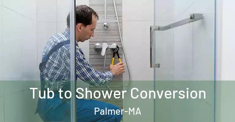 inner Bathroom imggen Tub to Shower Conversion Palmer-MA